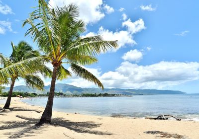 pixta_57523330_M-min